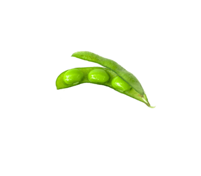 Edamame bean icon